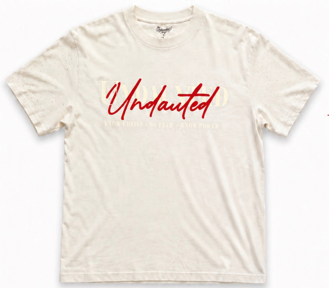 Undaunted Cream - Rhinestone sleeves Tee