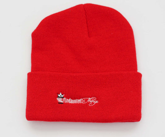 Know Christ Beanie (Red) - Undaunted Things