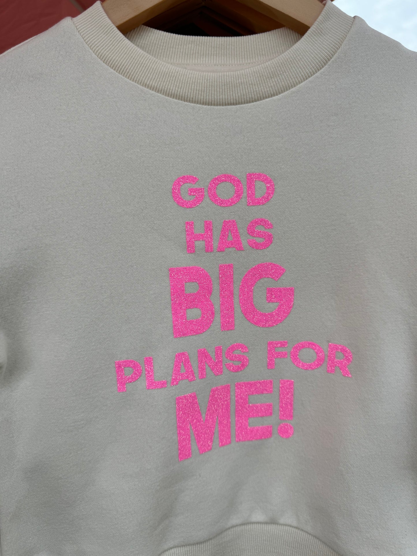 Big Plans - Sweatshirt - Undaunted Things