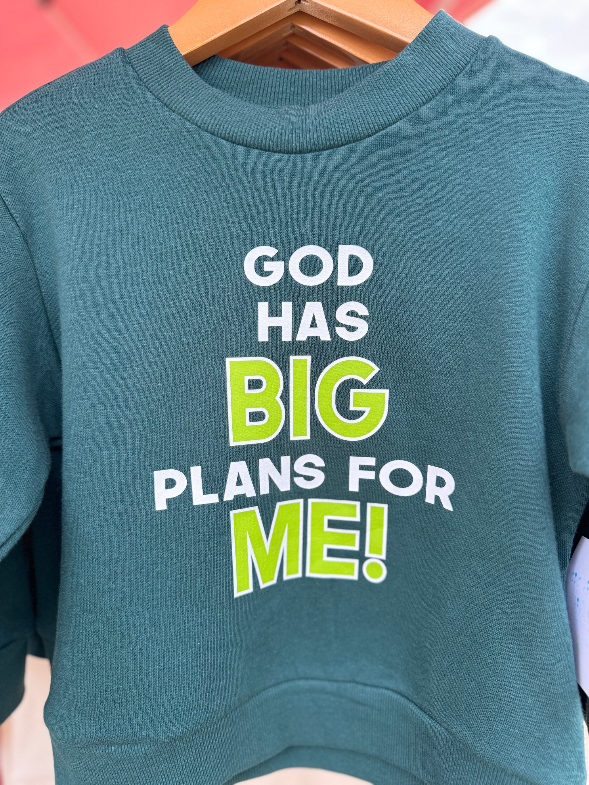 Big Plans Sweatshirt Undaunted Things