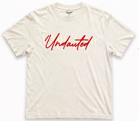 Undaunted Cream - Rhinestone sleeves Tee