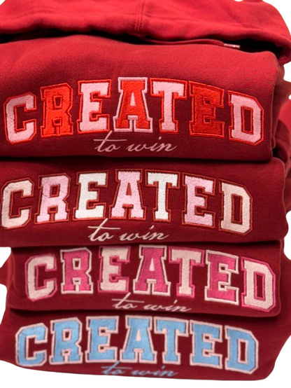 Created To Win Hoodie- Custom Color V-Day Edition - Undaunted Things
