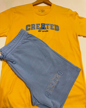 Created to Win Men Sets - Undaunted Things